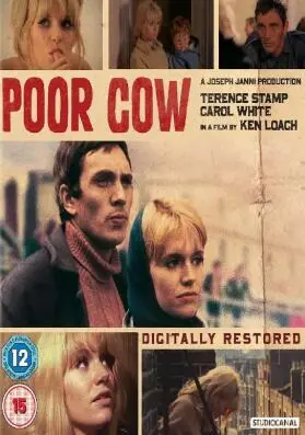 《可怜的母牛》：黑色幽默下的女性困境，一场荒诞又真实的自我救赎之旅