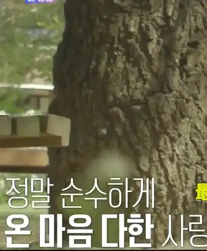 重温心动！《再次初恋》：找回遗失的美好，感受爱情最初的模样