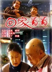 《回家看看2006》：都市异闻录，一场关于身份、记忆与心灵救赎的迷幻之旅
